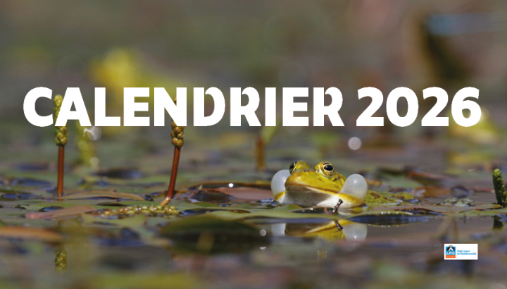 La pré-commande du Calendrier 2026 est ouverte !